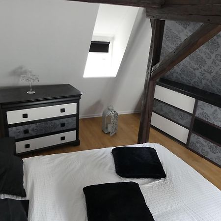 Appart Chaleureux Colmar Eksteriør bilde